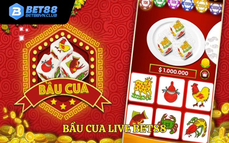 Giao diện tối ưu
